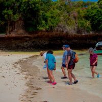 Cruises, Sailing & Water Tours