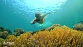 Well Organized Snorkeling Trip