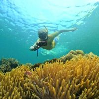Cruises, Sailing & Water Tours