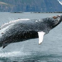 Sustainable Tours