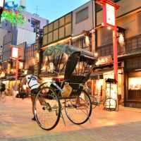 Cultural & Theme Tours