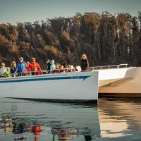 Boat Tours