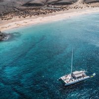 Shore Excursions