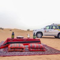 Private & Custom Tours