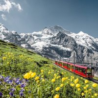 Rail Tours