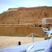 Bus & Minivan Tours