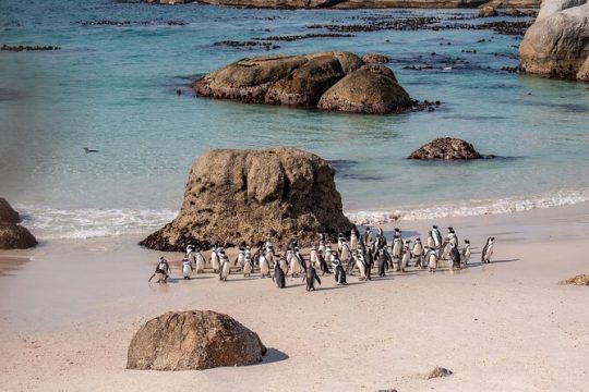 New Year’s Day long weekend in Cape Town