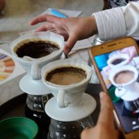 Coffee & Tea Tours