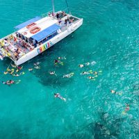Catamaran Cruises