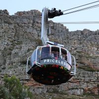Trolley Tours