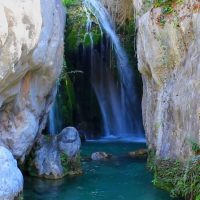 Bus & Minivan Tours