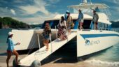Beach Day at Tortuga Island