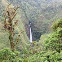 Cruises, Sailing & Water Tours