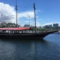 Day Cruises