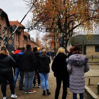 Full-day Tours