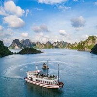 Boat Tours