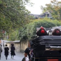Cultural Tours