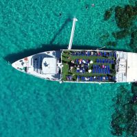 Day Cruises