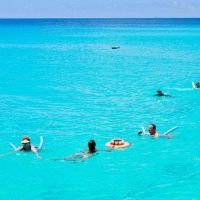 Luxury Tours