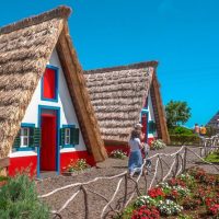 Day Trips & Excursions