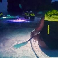 Night Tours