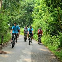 Vespa, Scooter & Moped Tours