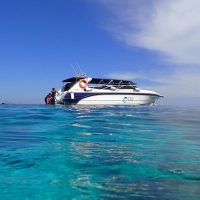 Ports of Call Tours