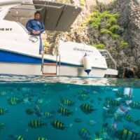 Private Sightseeing Tours