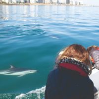 Cruises, Sailing & Water Tours