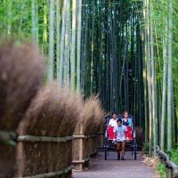 Private & Custom Tours