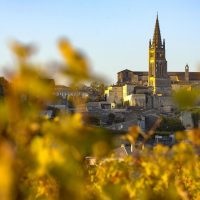 Half-day Tours