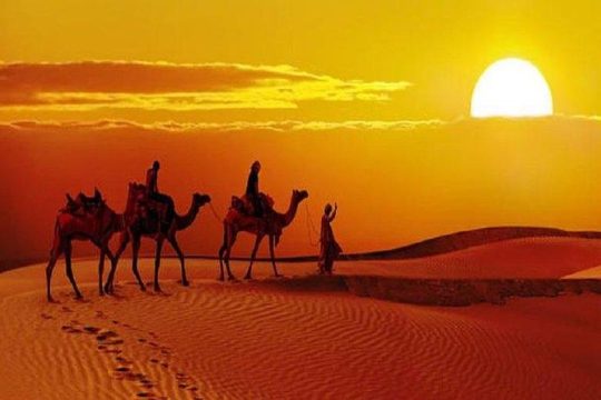 Valentine's Day in Jaisalmer