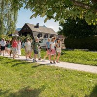 Bus & Minivan Tours