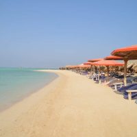 Cruises, Sailing & Water Tours