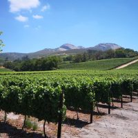Wine Tasting & Winery Tours