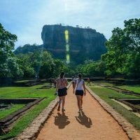 Cultural & Theme Tours