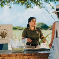 Luxury Tours