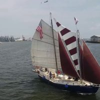 Boat Tours