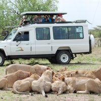 Day Trips & Excursions