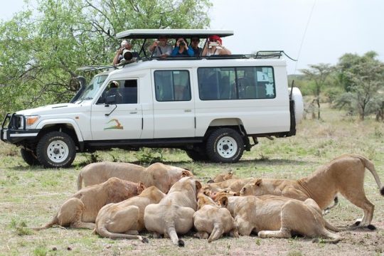 Hanukkah in Tanzania