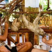 Luxury Tours