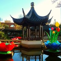Half-day Tours