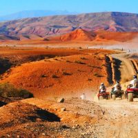 Bike & Mountain Bike Tours