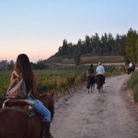 Food, Wine & Nightlife
