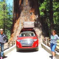 Multi-day & Extended Tours
