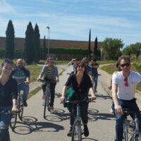 Day Trips & Excursions