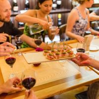 Wine Tasting & Winery Tours