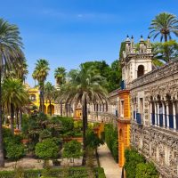 Tours & Sightseeing