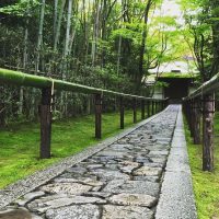 Bike & Mountain Bike Tours