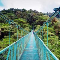 Day Trips & Excursions